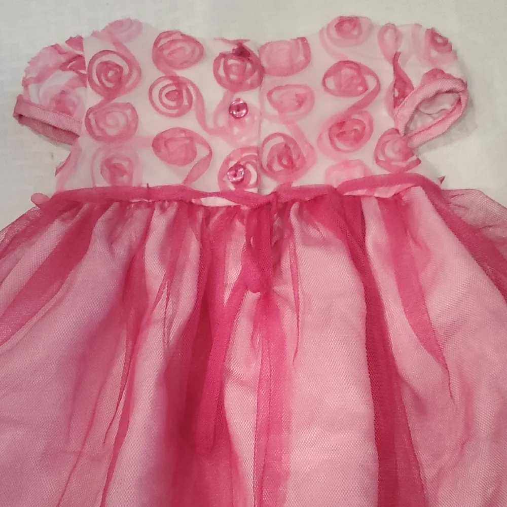 Sweet Heart Rose Pink Floral Tulle Party Dress Size 12M